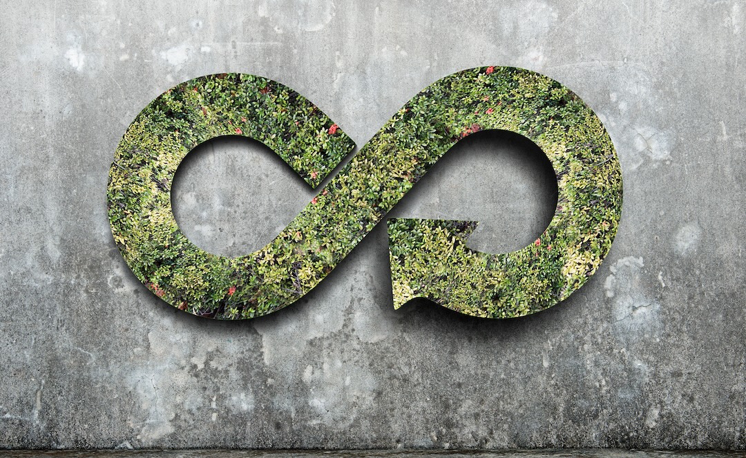 Opportunities for Circular Design in Toys